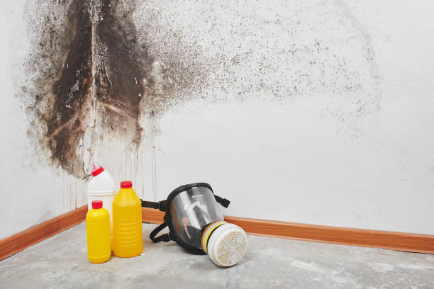 Water Damage Restoration in Round Lake Beach, IL
